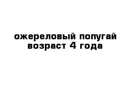 ожереловый попугай возраст 4 года